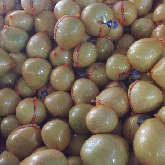 枝江市白肉蜜柚1.5斤以上