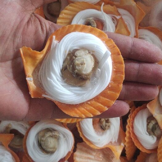 北海黄金贝   扇贝粉丝200个/件90元，不零售，不发快递，不包运费。
