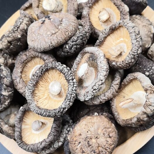 南召县南阳产地种植4.0精选干香菇支持一件代发