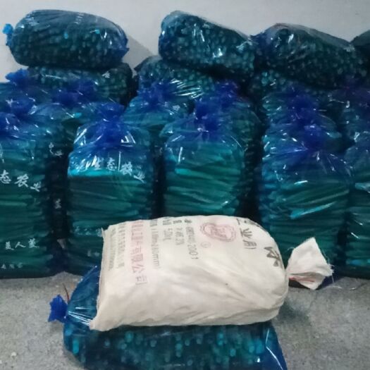 淮南 提供单双季茭白种苗以及七月茭种苗