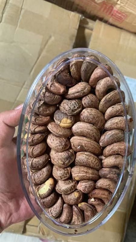 景洪市 越南腰果