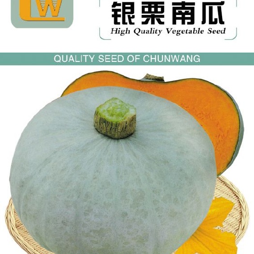 银栗南瓜种子  在南瓜中吃出栗子的味道，栗味十足，香味扑鼻