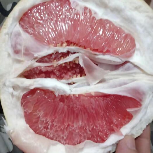 云霄县三红蜜柚  红心抽