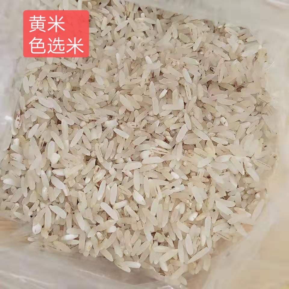 贵港籼米  大量批发（广西）优质色选黄米，不包邮