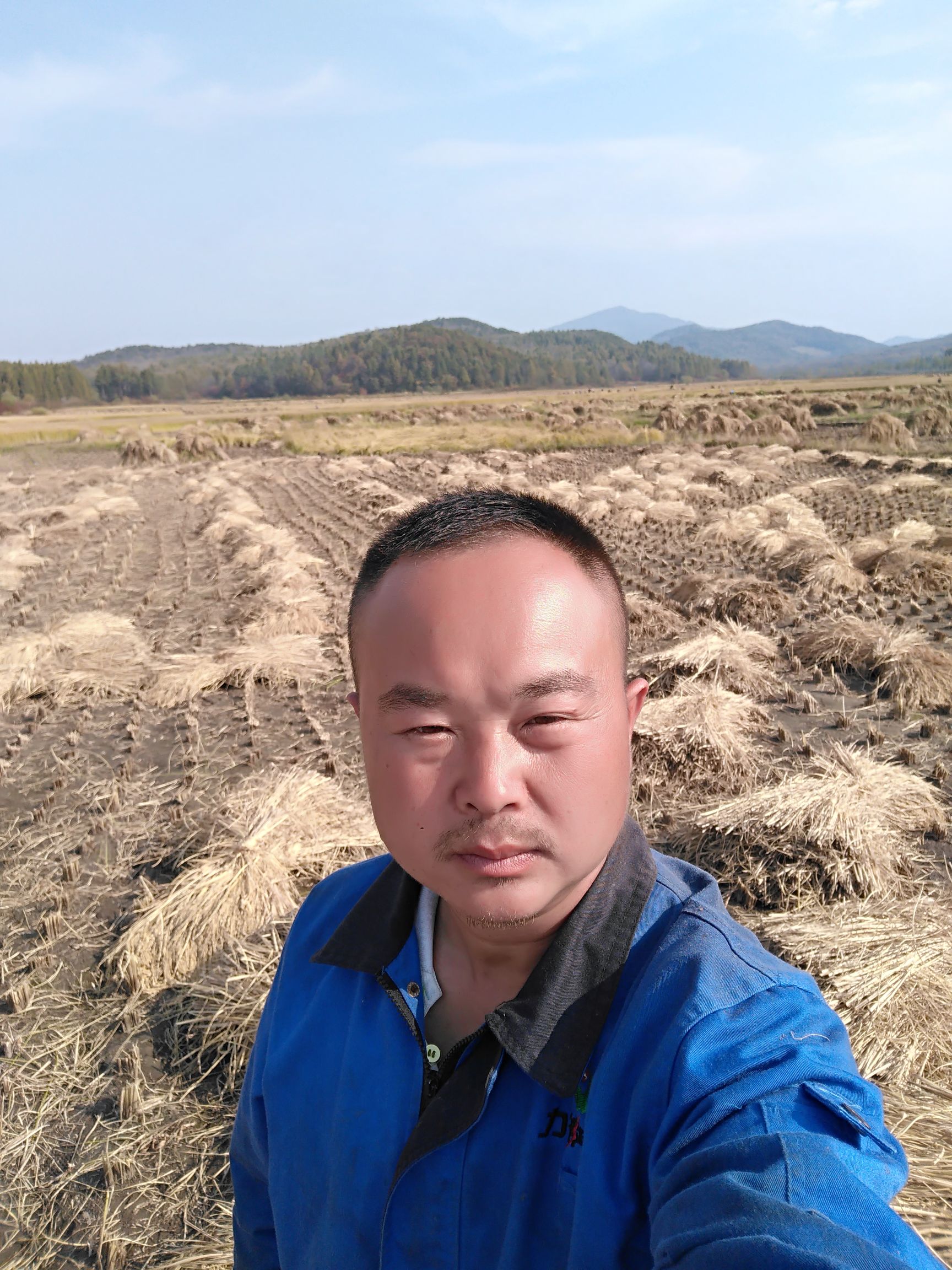 香米  五常稻花香大米，原粮稻花香二号，东北大米