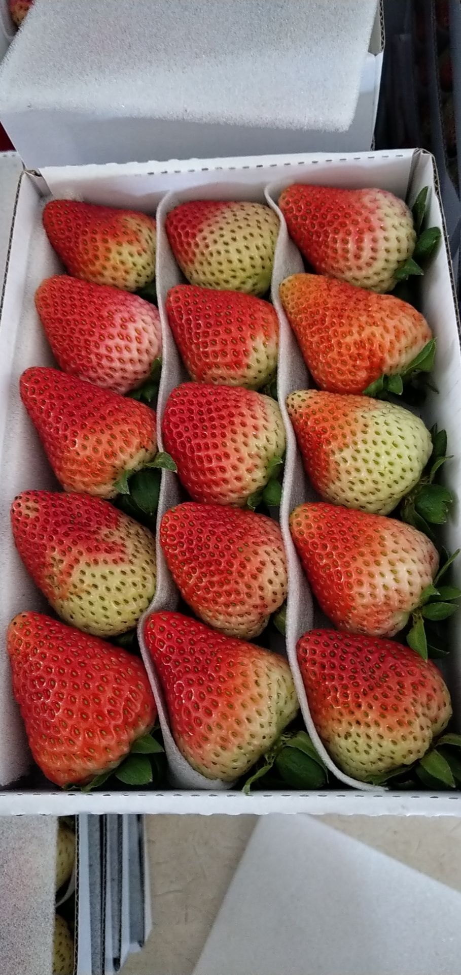 请看价格一件代发云南蒙特瑞草莓，此单只提供京东快递送货上门。