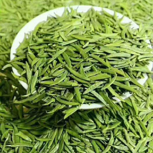 雅安竹叶青茶 明前竹叶青