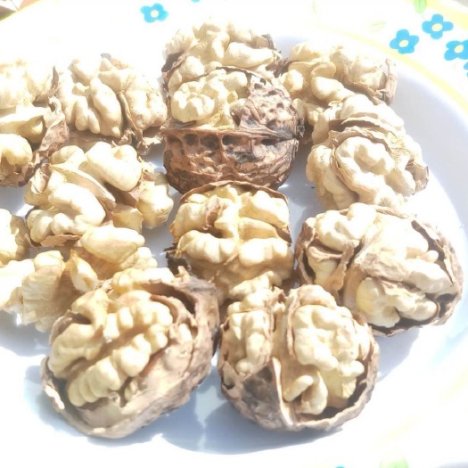 南涧县 绿色有机食品纸皮核桃新果优果干果原味散装