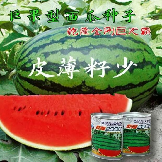 乾隆2008西瓜种子   特大巨型西瓜种子乾隆2008金刚巨