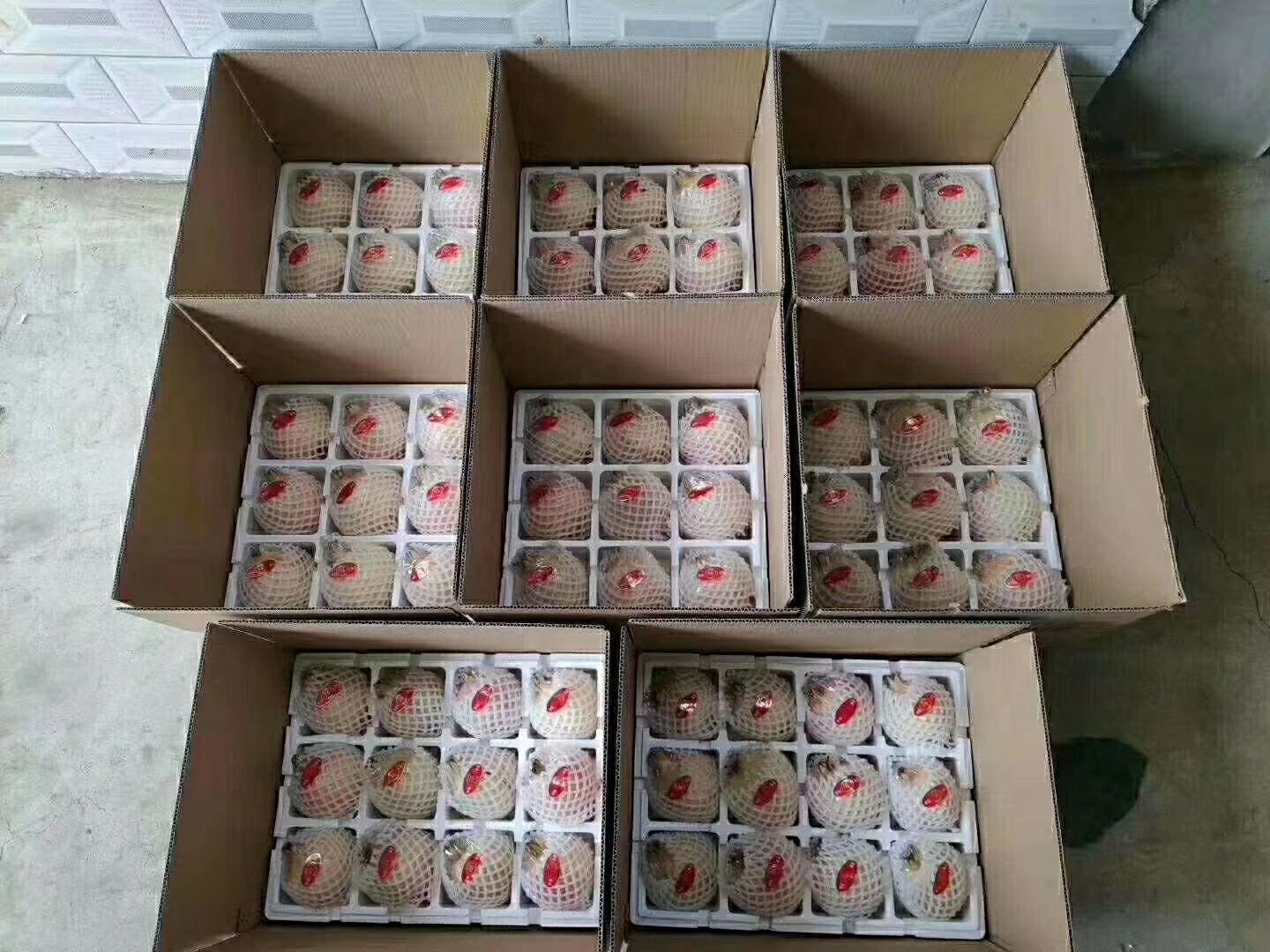  临潼石榴原产地发货，保您吃到新鲜的石榴