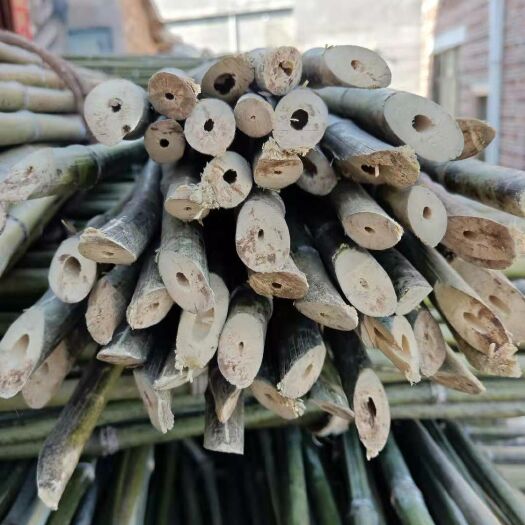 江华县金竹 