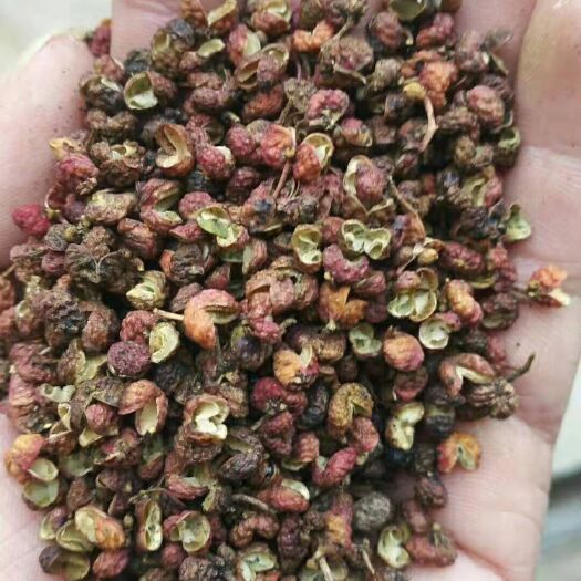 铜川大红袍花椒 三级 干花椒