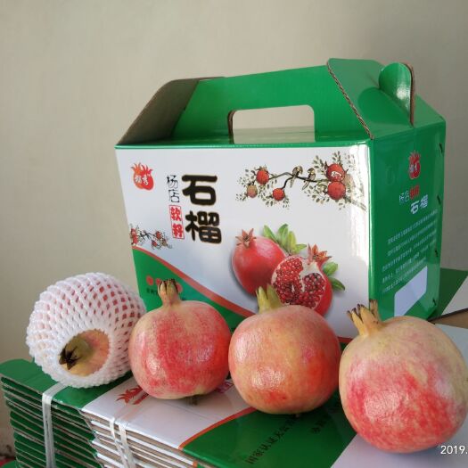 宜阳县 无公害软籽石榴