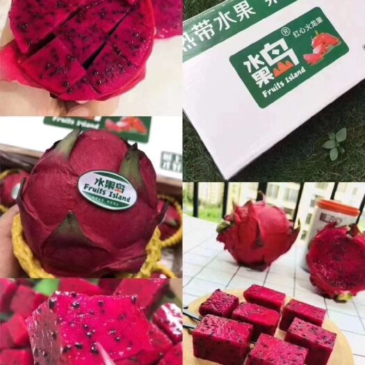 东方市 海南水果岛一级红心火龙果