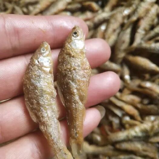 通化小麦穗鱼干 油炸麦穗干油炸嫩子鱼干小鱼干