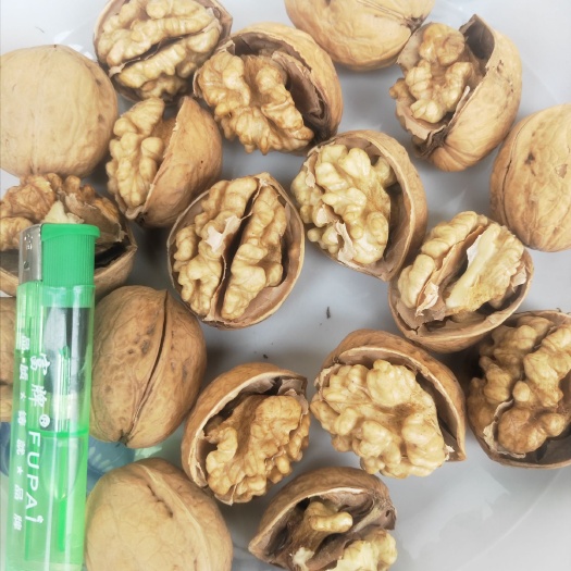 成都纸皮核桃 26~30mm 去皮 箱装