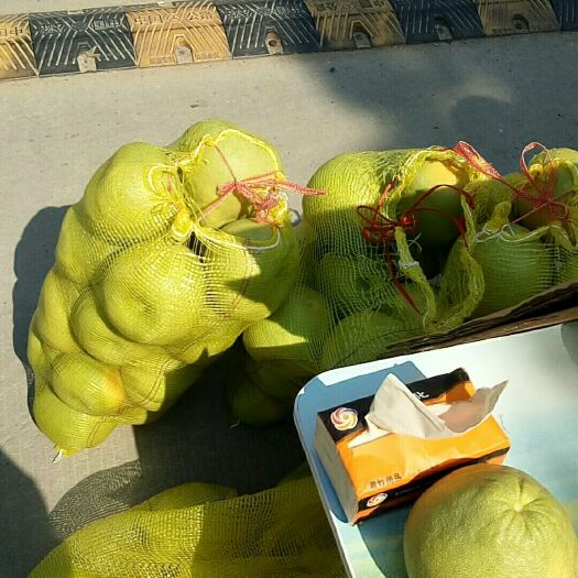 仙游县度尾文旦柚  正宗度尾红心文旦柚