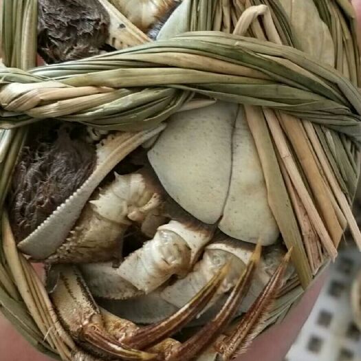宣城水阳螃蟹 阳江大闸蟹，质量杠杠的，值得品尝