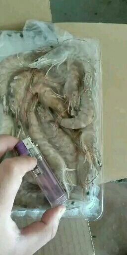 绵阳冻海虾 海水虾，好的不要不要滴