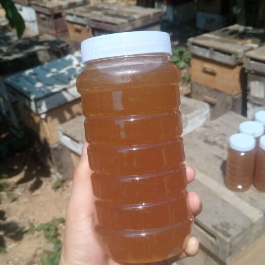 赞皇县 蜂农自家蜂蜜，万亩枣园枣花蜜