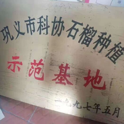 巩义市 巩义市河洛镇五龙村突尼斯软籽石榴