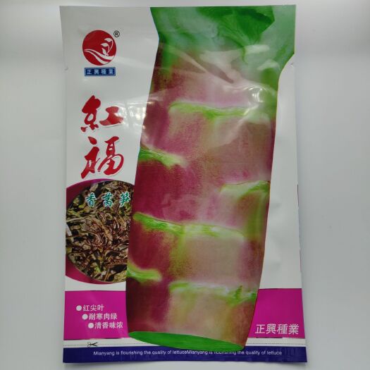 淮安 四川四季白尖叶莴笋种子苗 耐热红莴苣种籽春秋青笋蔬菜菜孑子
