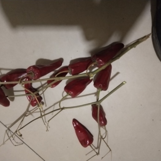 开鲁县辣椒酱