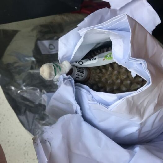 沈阳 常年供应各类榴莲，东南亚水果