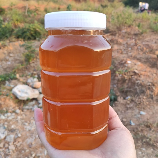 平南县 蜂蜜   百花蜜   自产自销天然、无污染高浓度百花蜜