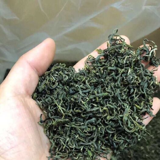 寿宁县 碧螺春 洞庭 2019年春茶 新茶 绿茶