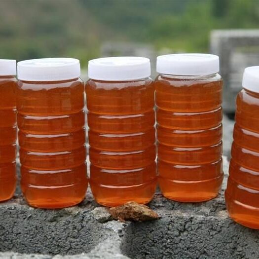平南县蜂蜜   百花蜜   自产自销高浓度百花蜜