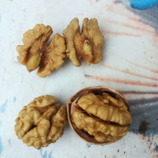 开封 纸皮核桃