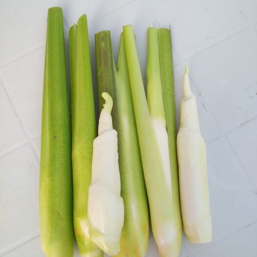 睢宁县 茭白农场直销