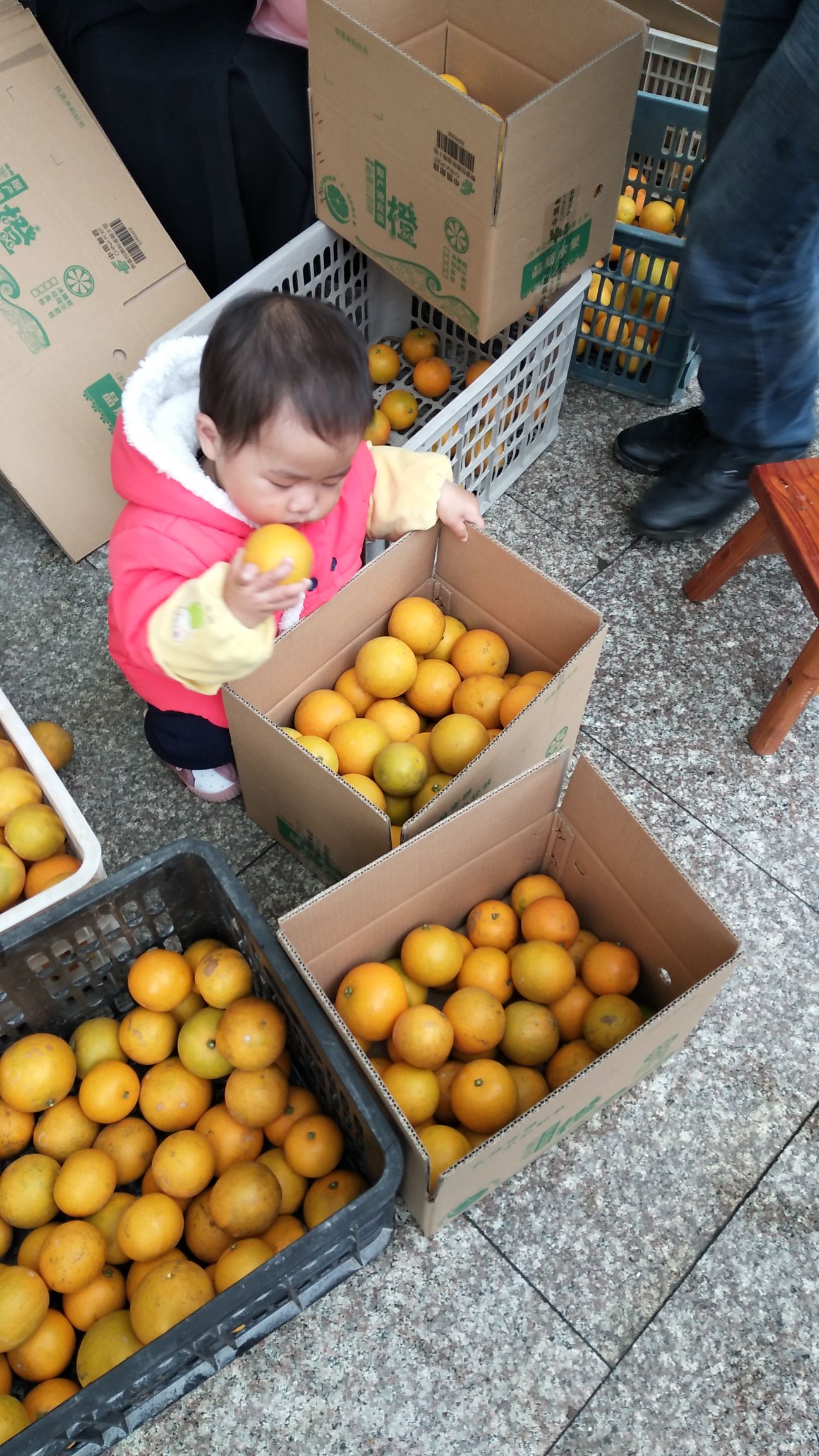  我们不仅是大自然的搬运工，还是天然水果黔阳冰糖橙的生产者！