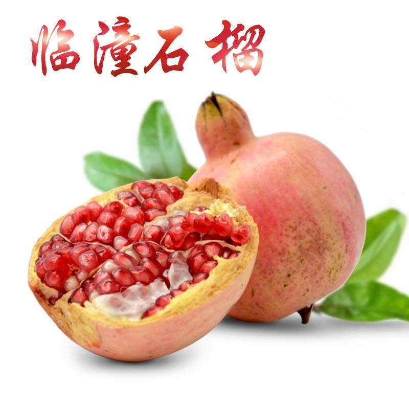 农产品批发供应商左昭昭 - 惠农网电脑版