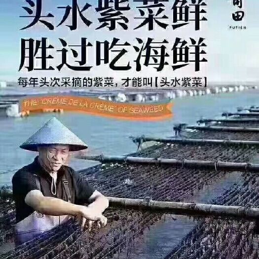 莆田 福建南日岛农家海产品批发头水紫菜和海带等等