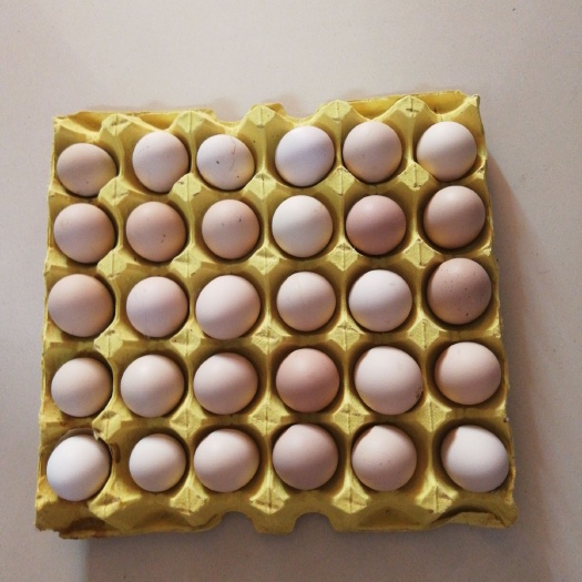 进贤县普通鸡蛋 食用 箱装