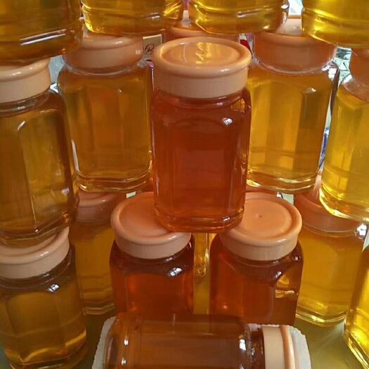 蒙阴县土蜂蜜 塑料瓶装 2年以上 