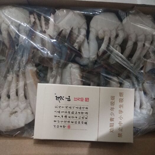 东港市梭子蟹 切蟹