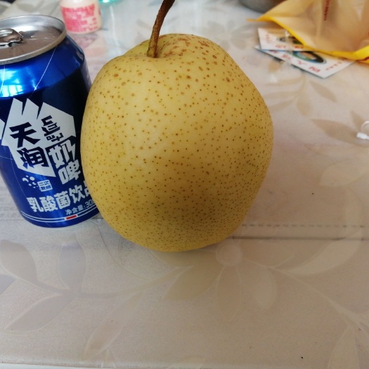 文水县 自家梨园，75以上雪花梨，口感好，绿色无公害