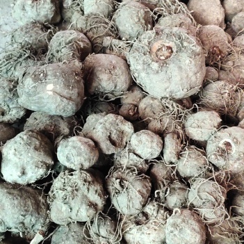 农产品批发供应商王天会 - 惠农网电脑版