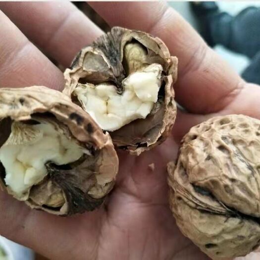 楚雄市纸皮核桃，云南核桃，量大优惠，2斤包邮