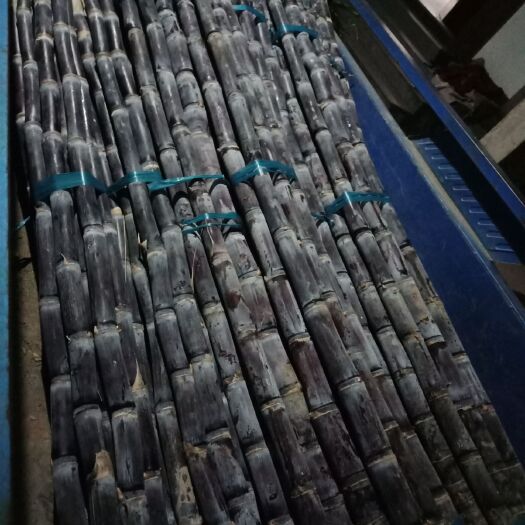 歙县黑皮甘蔗 安徽自种甘庶批发零售