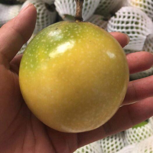 玉溪 云南芭乐味黄金百香果
