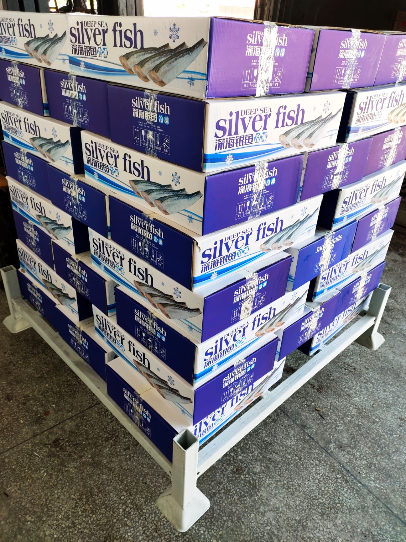  雷鱼，深海银鱼