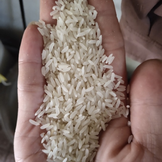 韶关有机富硒米 粤北山区省生态林保护区，原种常规农家富锌富硒油沾有机米