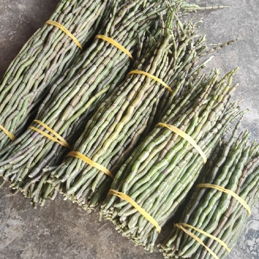 芒市铁皮石斛鲜条大量批发零售