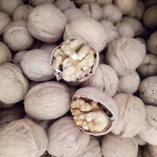 赞皇县新疆185薄皮核桃2024年新货，大量现货