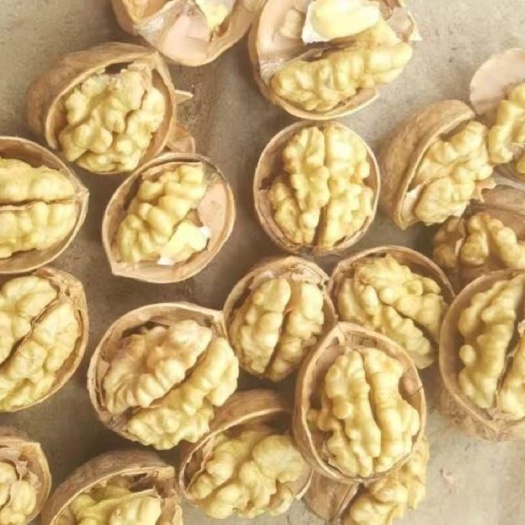商南县核桃  纸皮核桃新疆新品185新品种皮薄肉厚
口味纯正油足香
