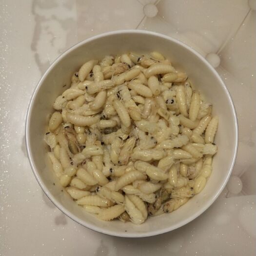 仪陇县 马蜂蜂蛹